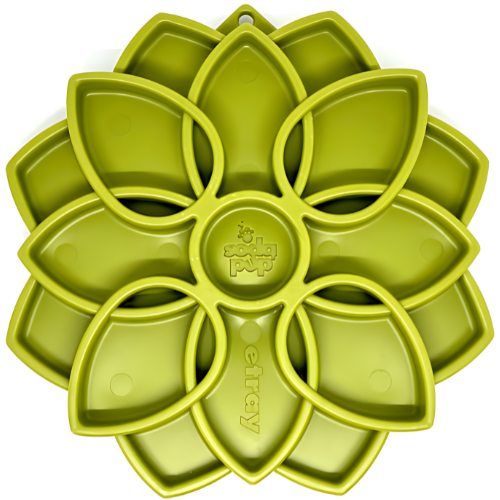 SodaPup eTray - Mandala