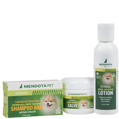 Bundle Deal DERMagic Skin Essentials Kit
