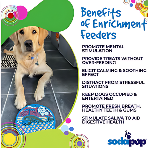 SodaPup Whale Emat - Round with Suction Cups | Blue