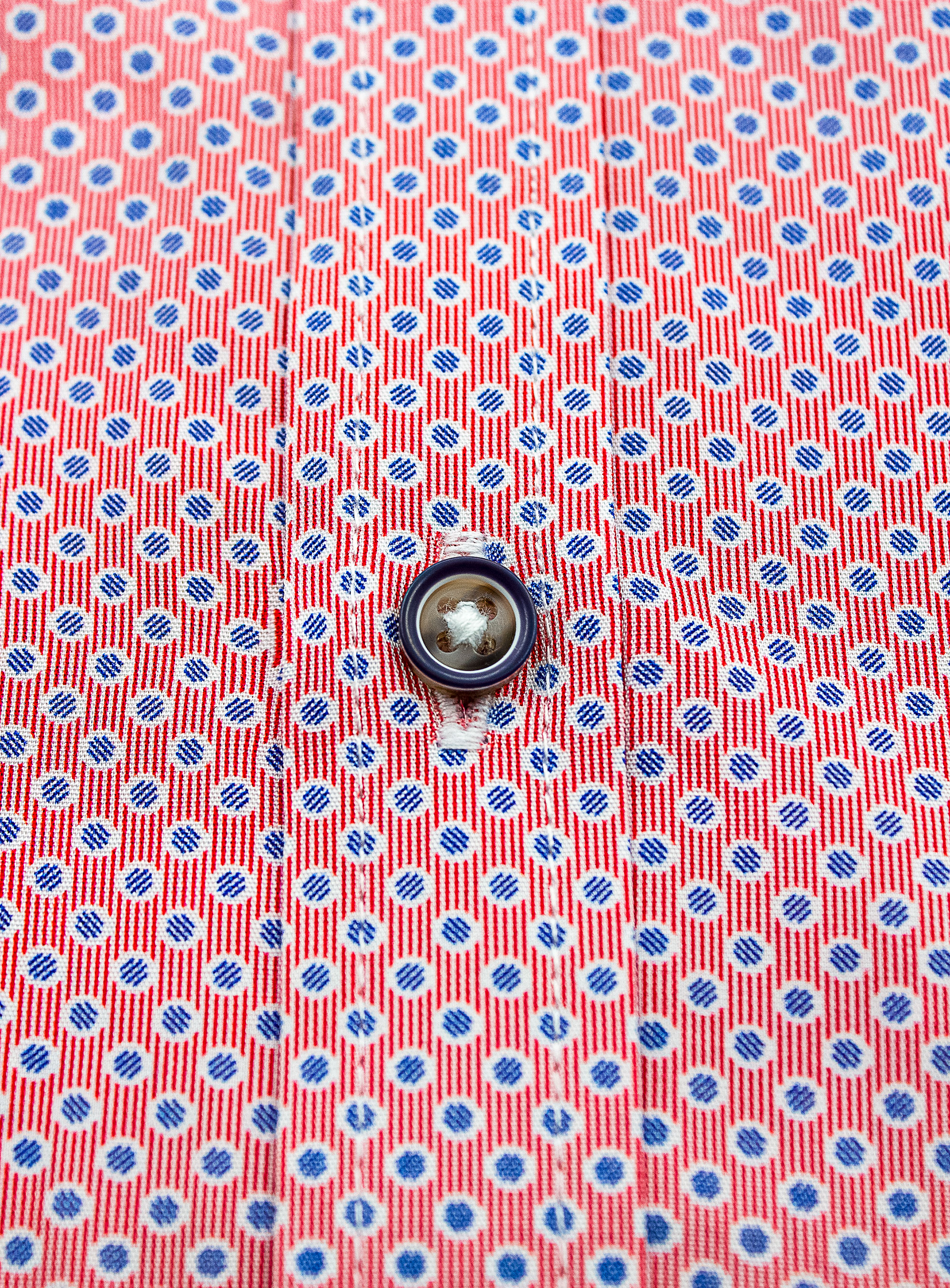 Bolzano Red and Blue Dot Print