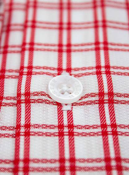 Men {collection_title} Milan Red Check Shirt Peter Jackson
