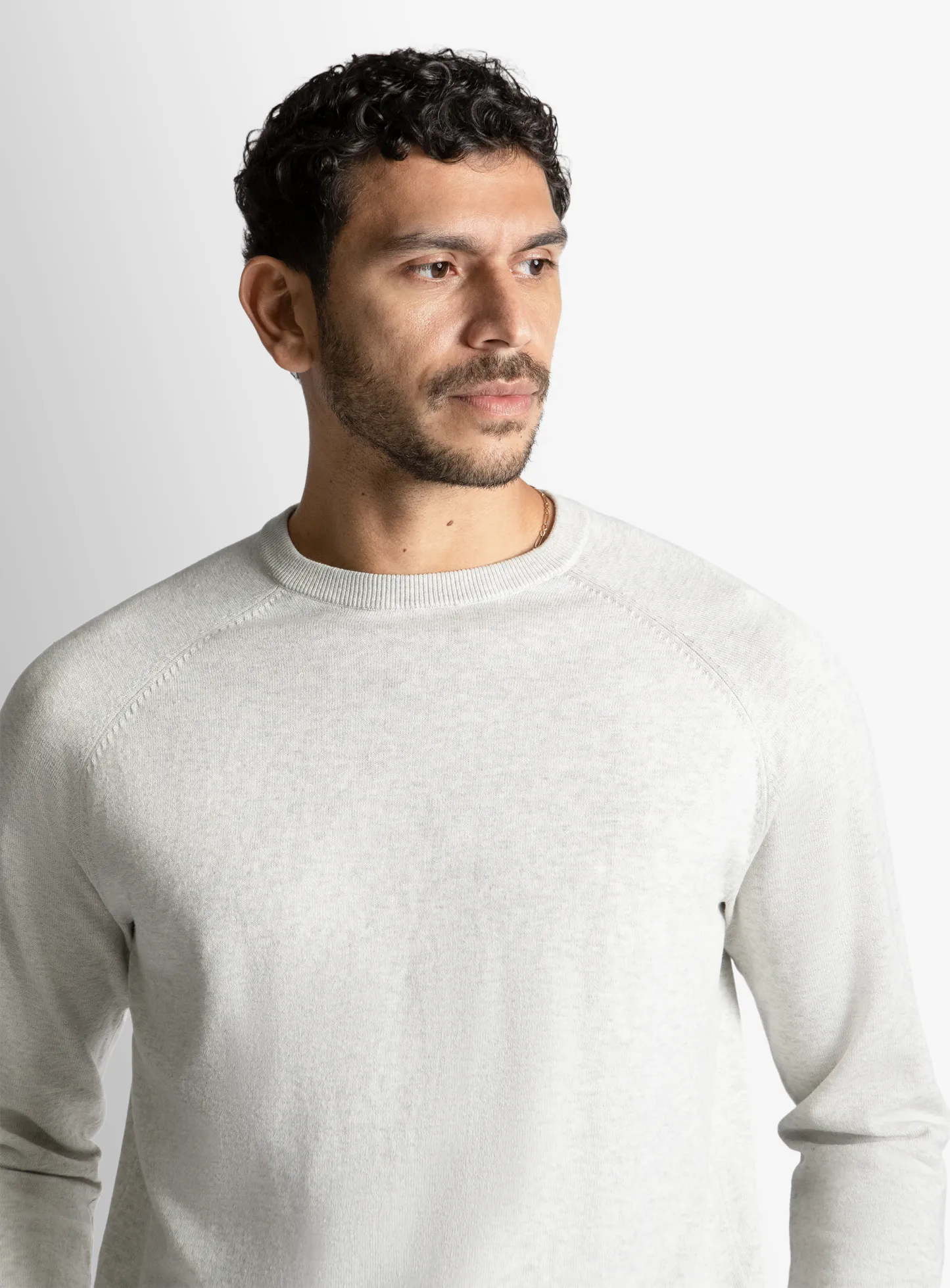 Ash Cotton Casual Crewneck Knit