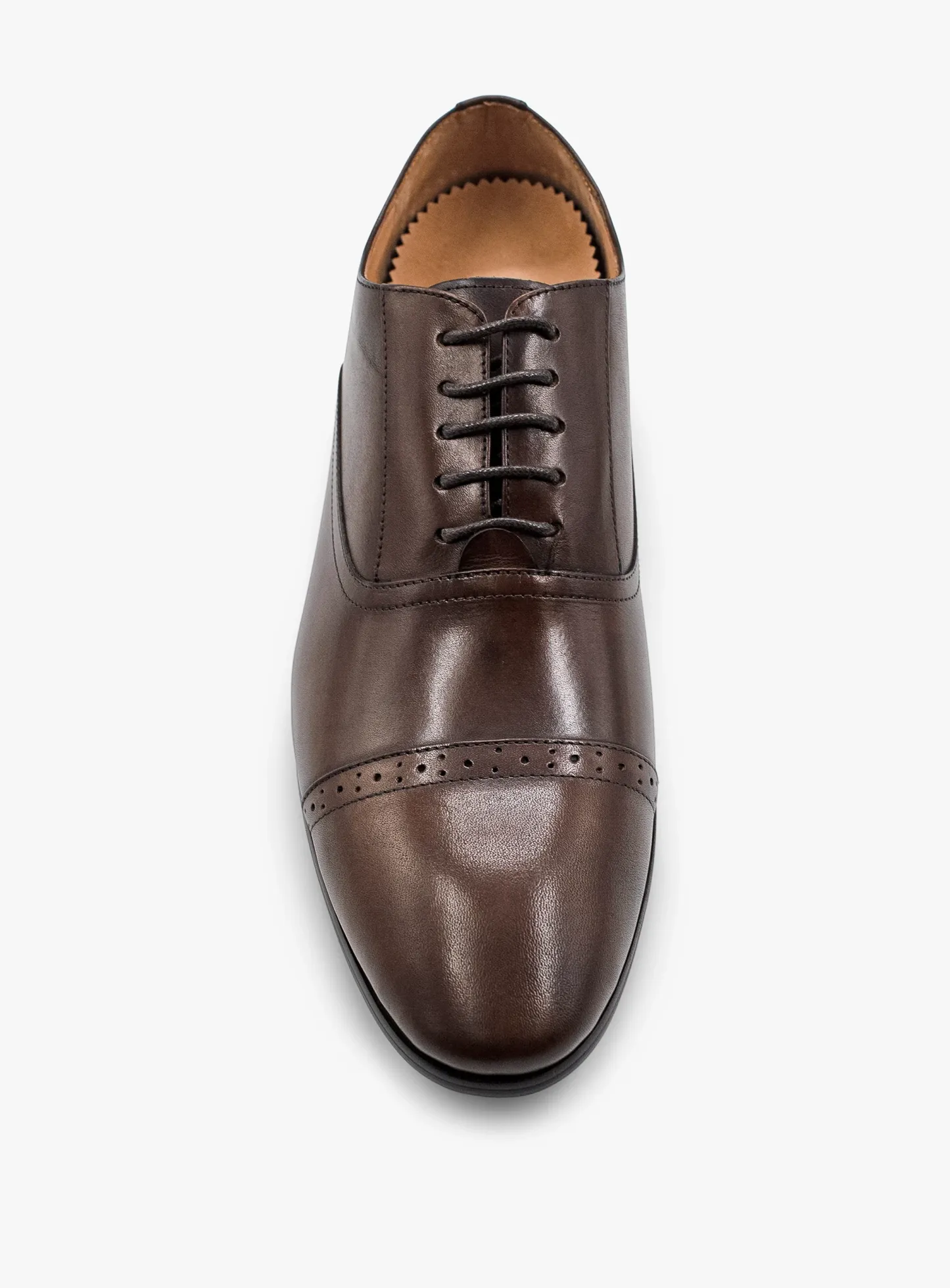 Vieri Brown Cap Derby