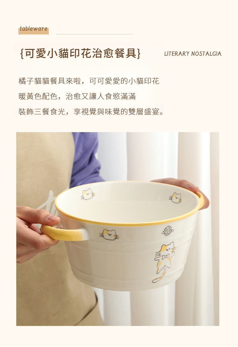 橘子猫猫-阿里_02.jpg?x-oss-process=image/format,png