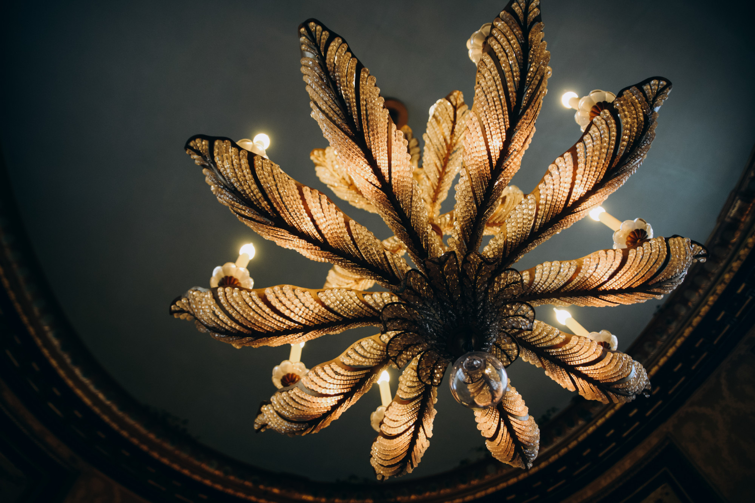custom chandelier hanging from the ceiling