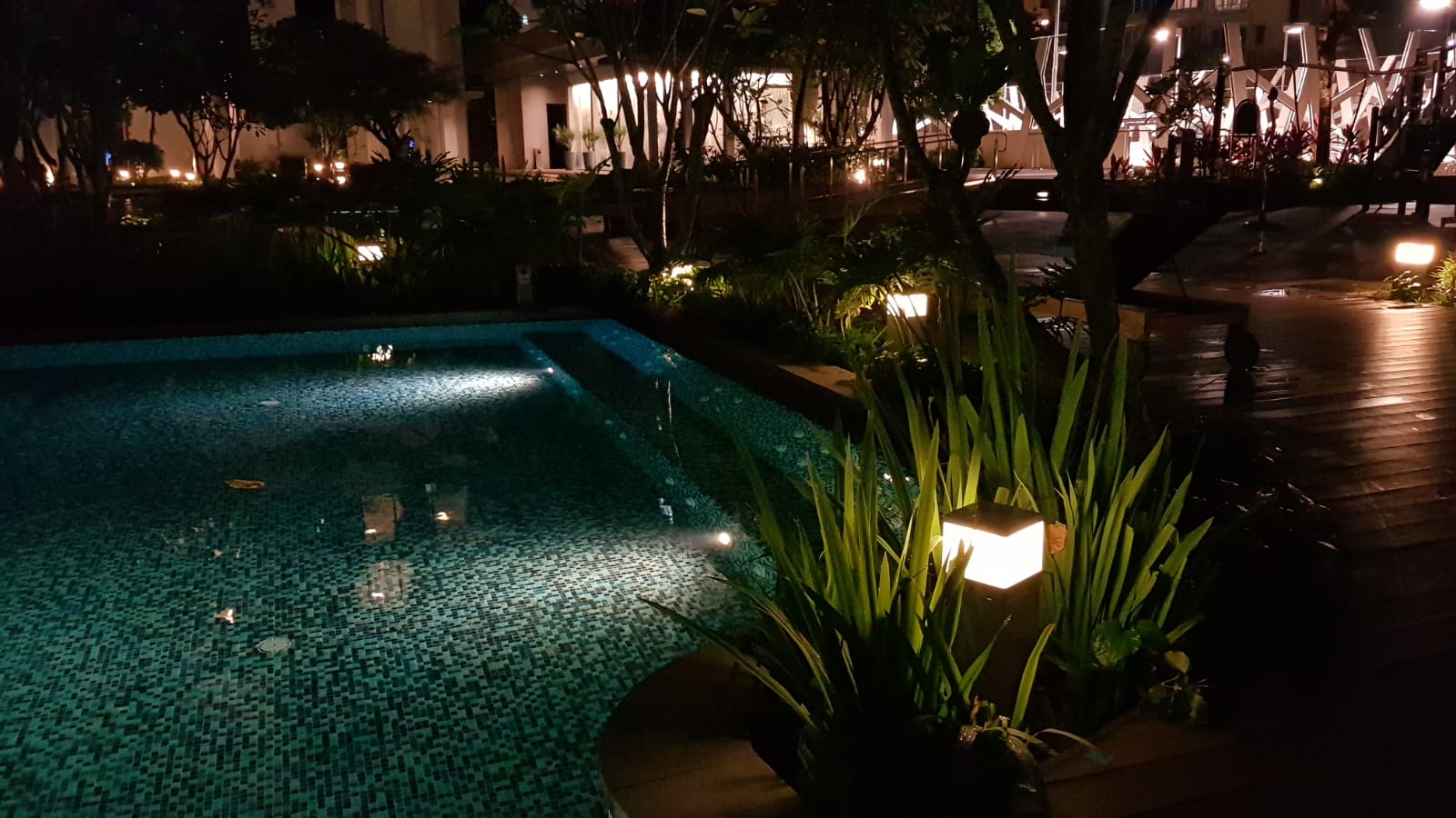 Night Walk-Light Makers