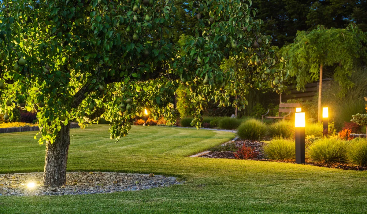 Illuminated garden with stylish pathway lights, enhancing the landscape with warm outdoor lighting.