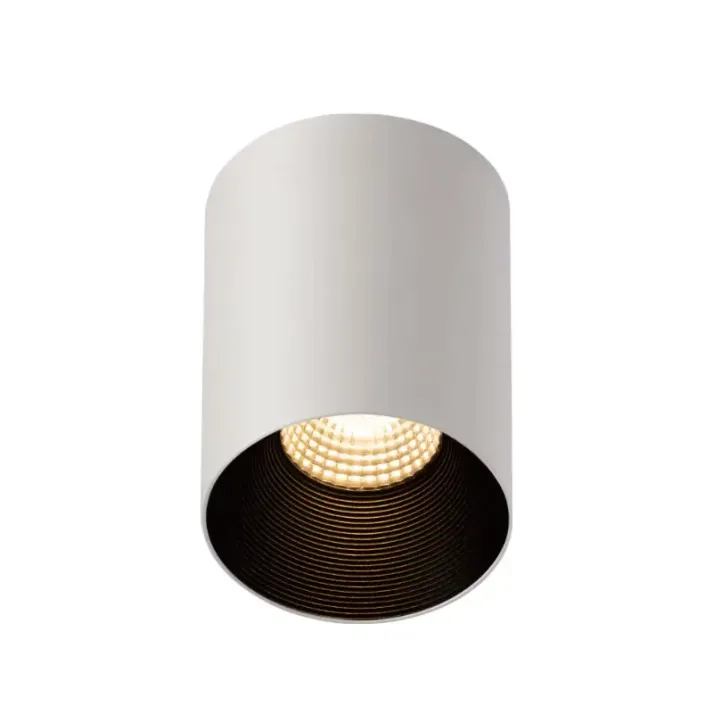 AEGIR Surface Mounted Downlight – Light Makers