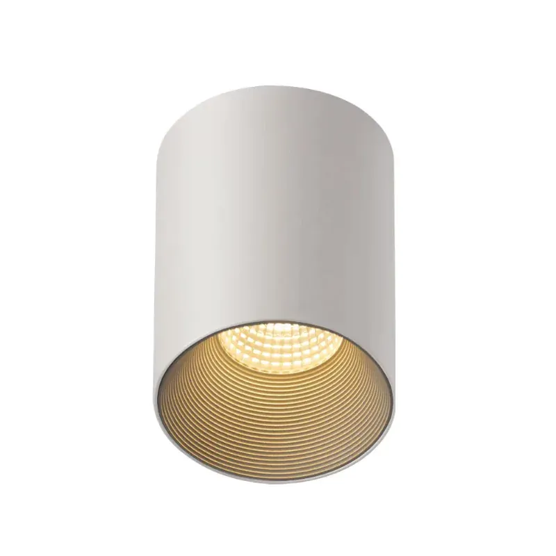 AEGIR Surface Mounted Downlight – Light Makers