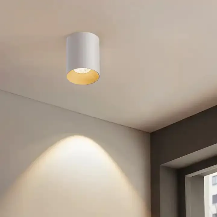 Recessed and Surface Mount LED Downlight in Singapore – Light Makers