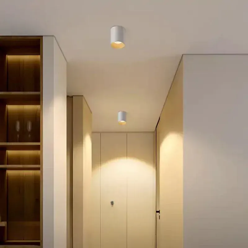 AEGIR Surface Mounted Downlight – Light Makers