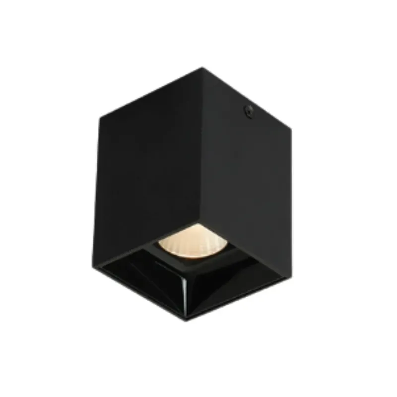 ASK Surface Mounted Downlight