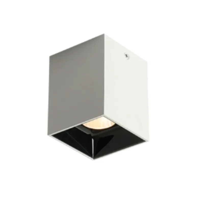 ASK Surface Mounted Downlight