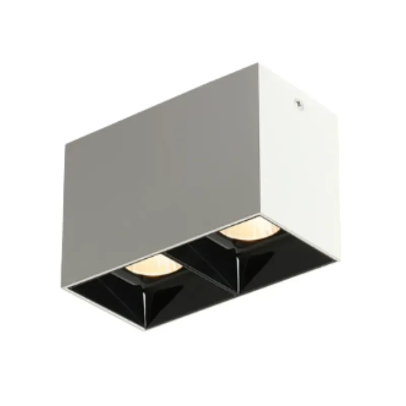 ASK Surface Mounted Downlight