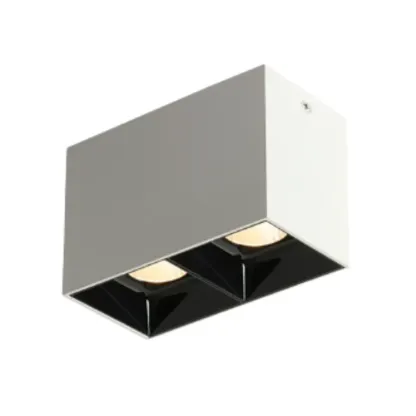 ASK Surface Mounted Downlight