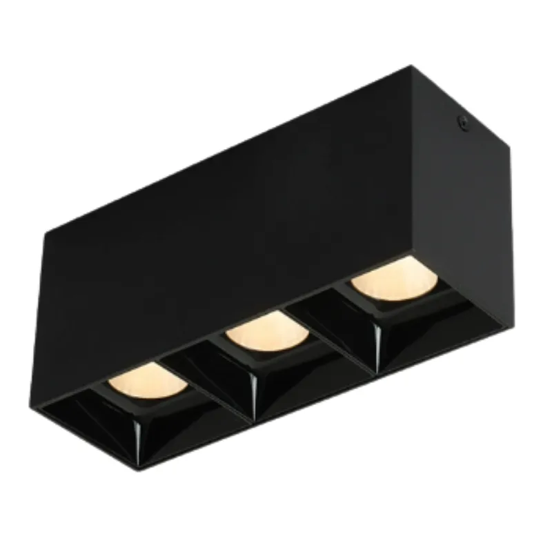 ASK Surface Mounted Downlight