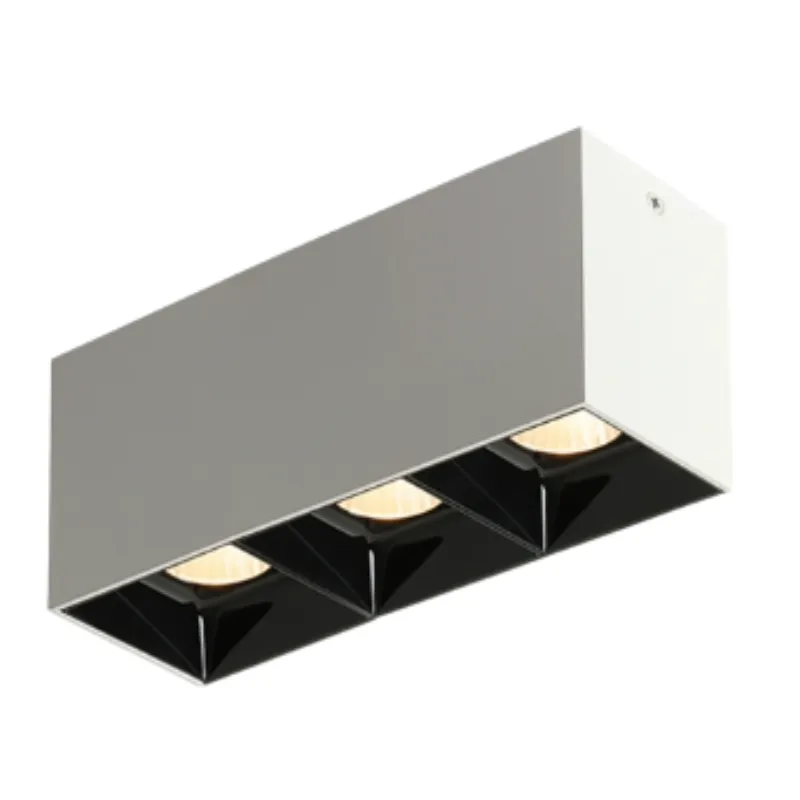 ASK Surface Mounted Downlight