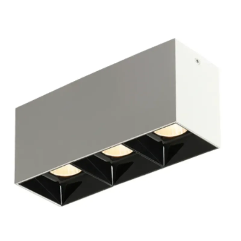 ASK Surface Mounted Downlight