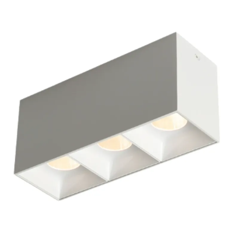 ASK Surface Mounted Downlight