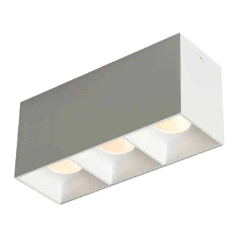 ASK Surface Mounted Downlight