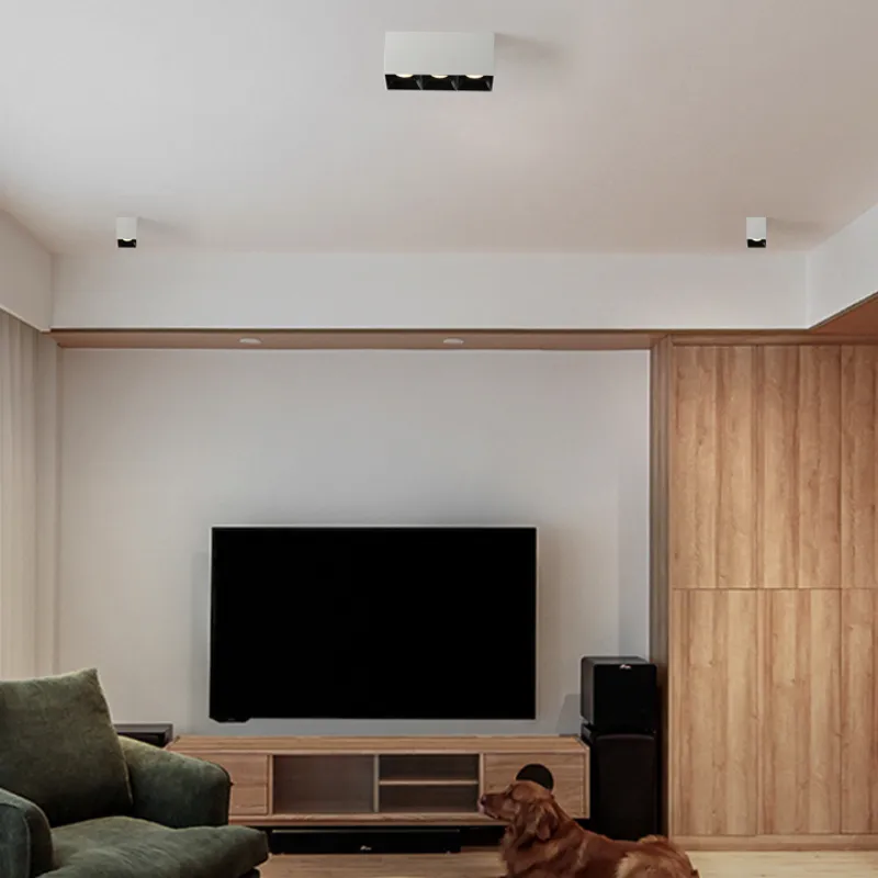 ASK Surface Mounted Downlight