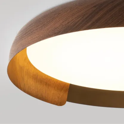AviorVeil Ceiling Light