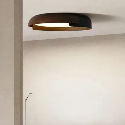 AviorVeil Ceiling Light