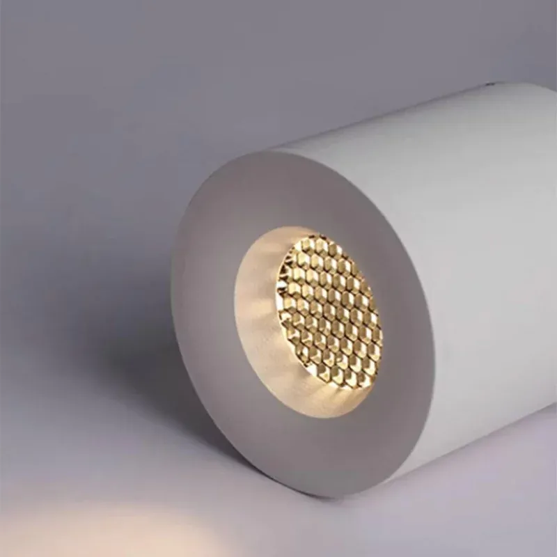 BERGELMIR Downlight