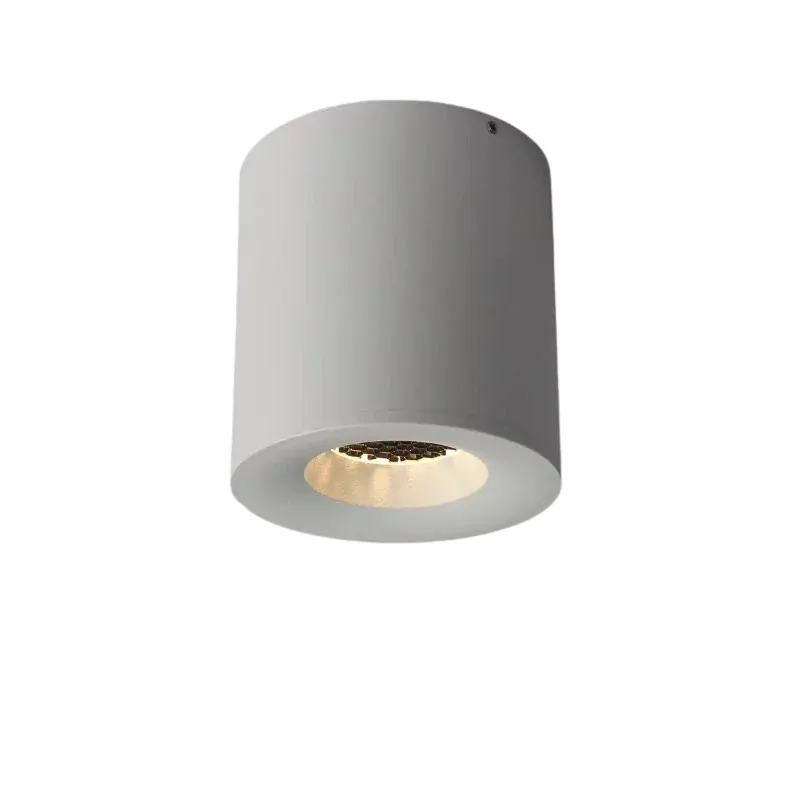 BERGELMIR Downlight