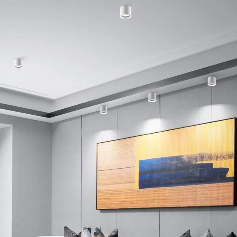 BERGELMIR Downlight