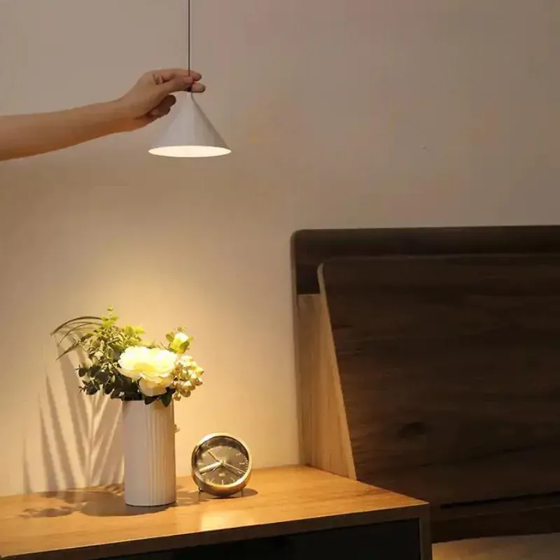 BERSERK Pendant Light