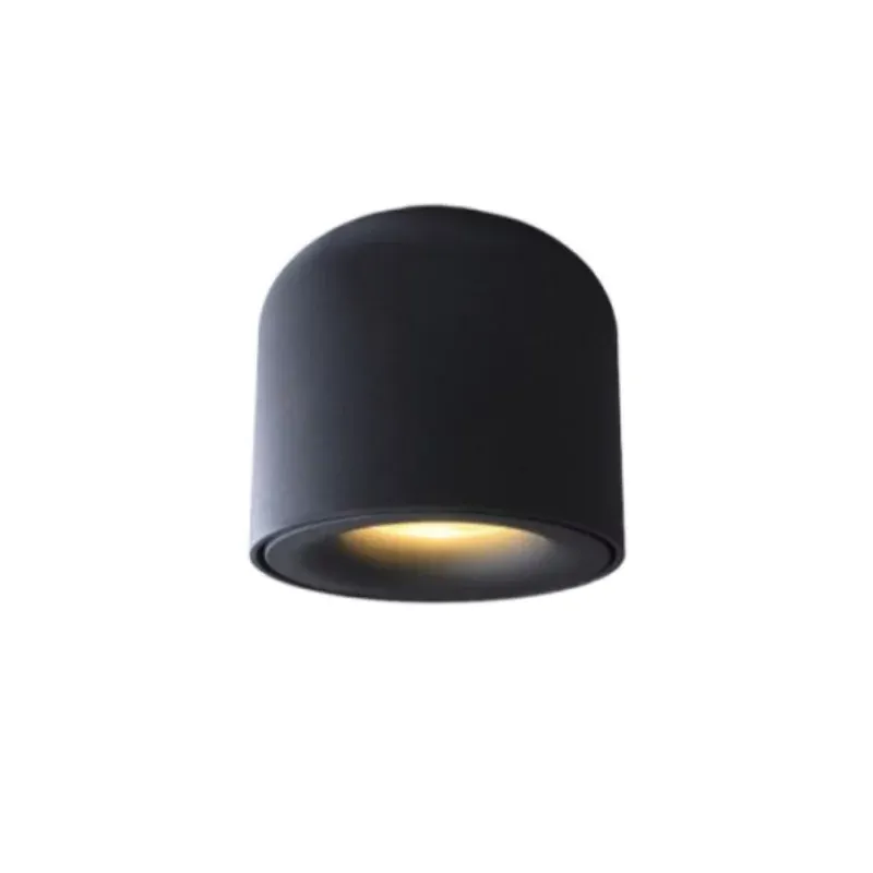 BRAGI Surface Mounted Downlight – Light Makers