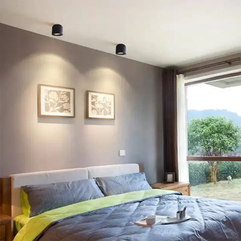 BRAGI Surface Mounted Downlight – Light Makers