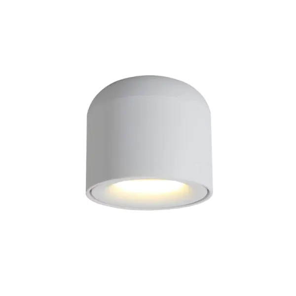 BRAGI Surface Mounted Downlight – Light Makers