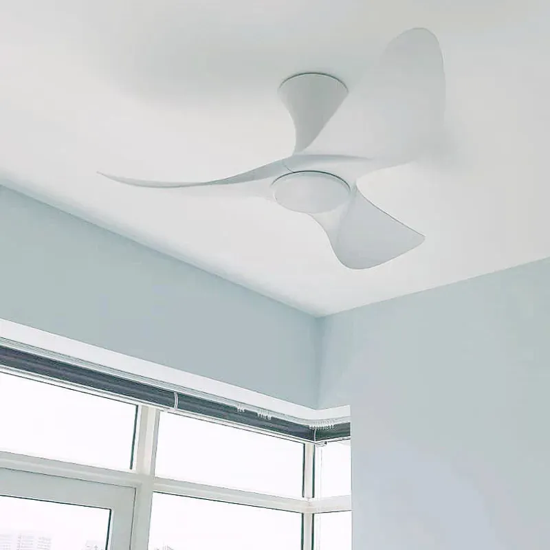 Alaska Burah 3 Blades Smart Ceiling Fan