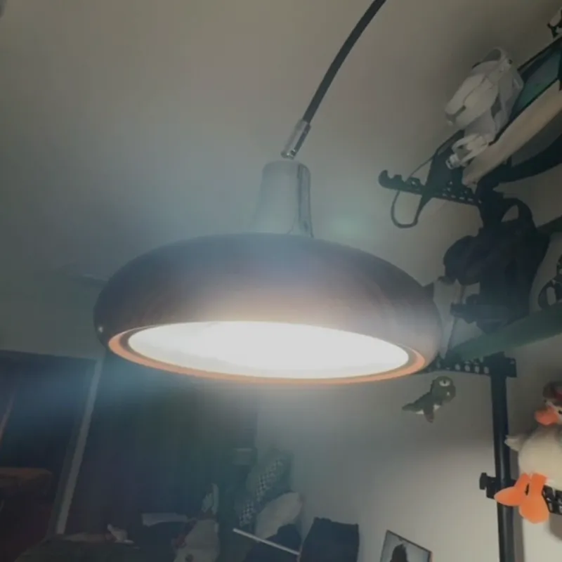 CardenOak Floor Lamp
