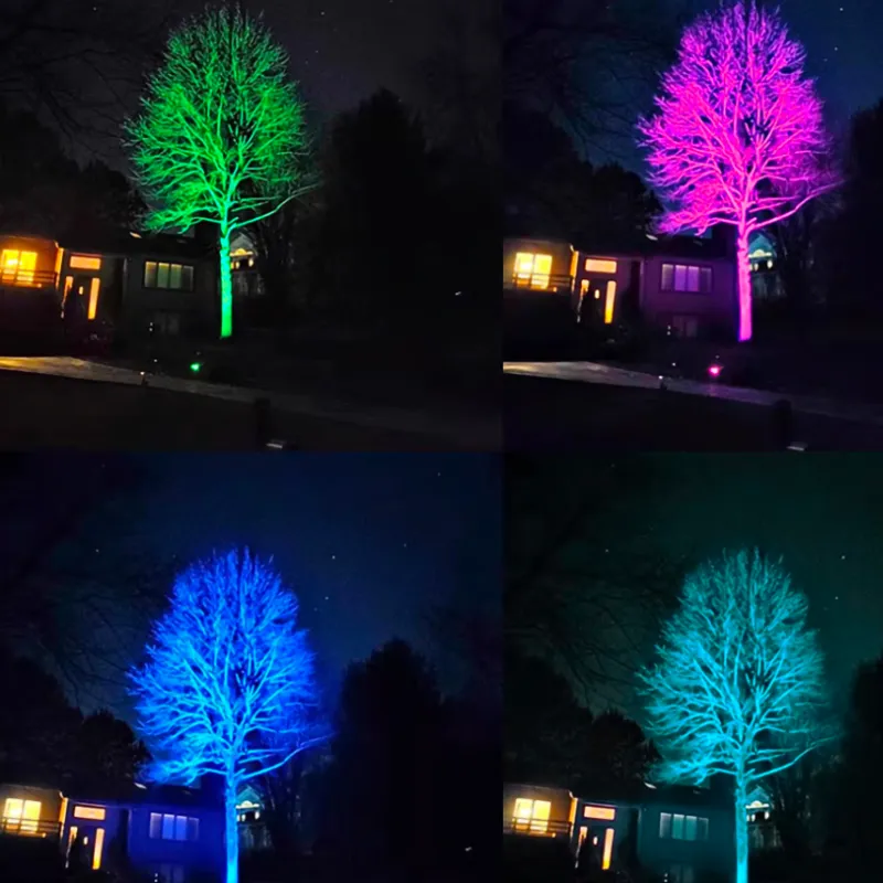 ChromaPath Outdoor Spotlight
