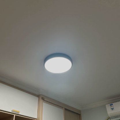 ColetteRetro Ceiling Light