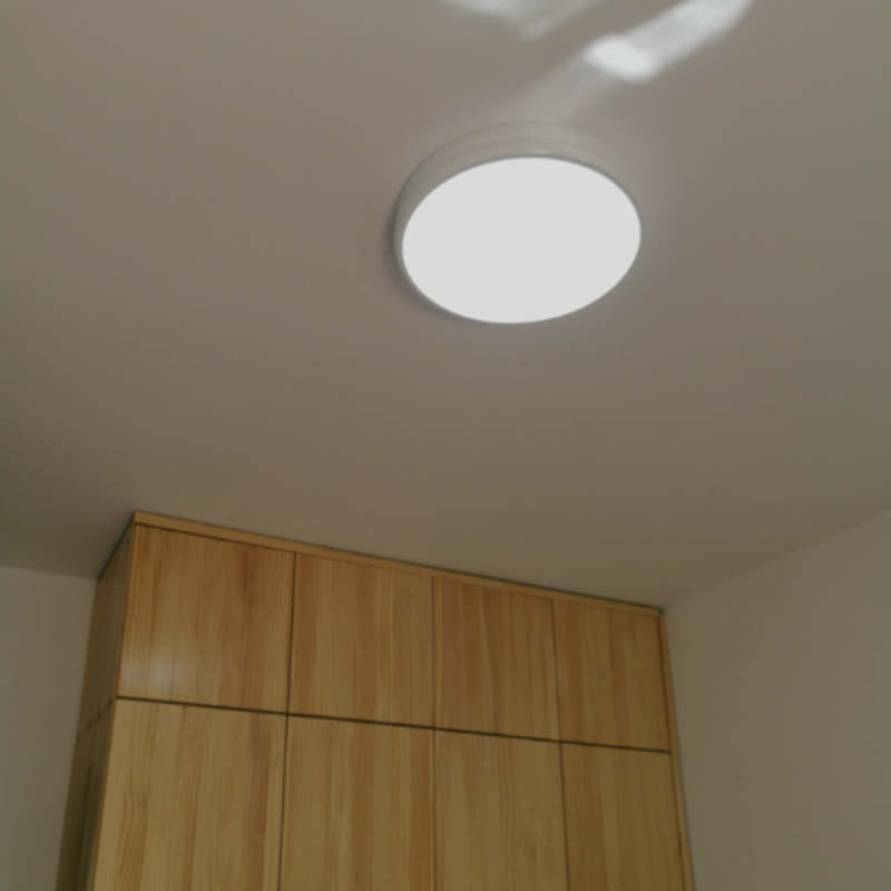 ColetteRetro Ceiling Light