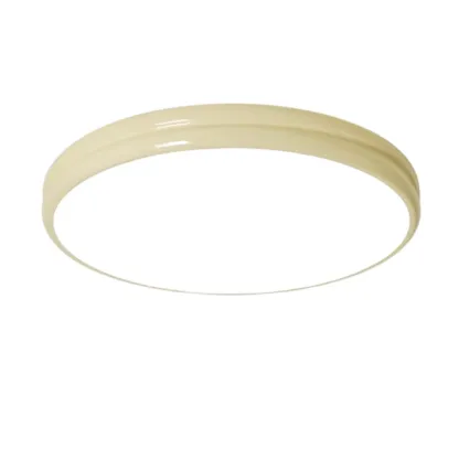 ColetteRetro Ceiling Light