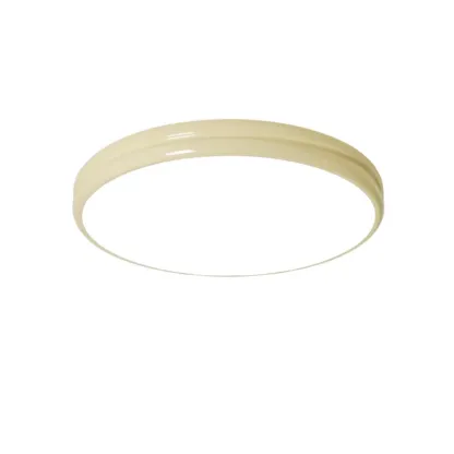 ColetteRetro Ceiling Light