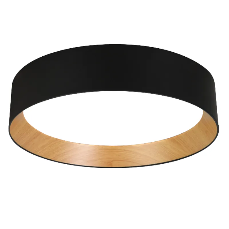 DotraTone Ceiling Light