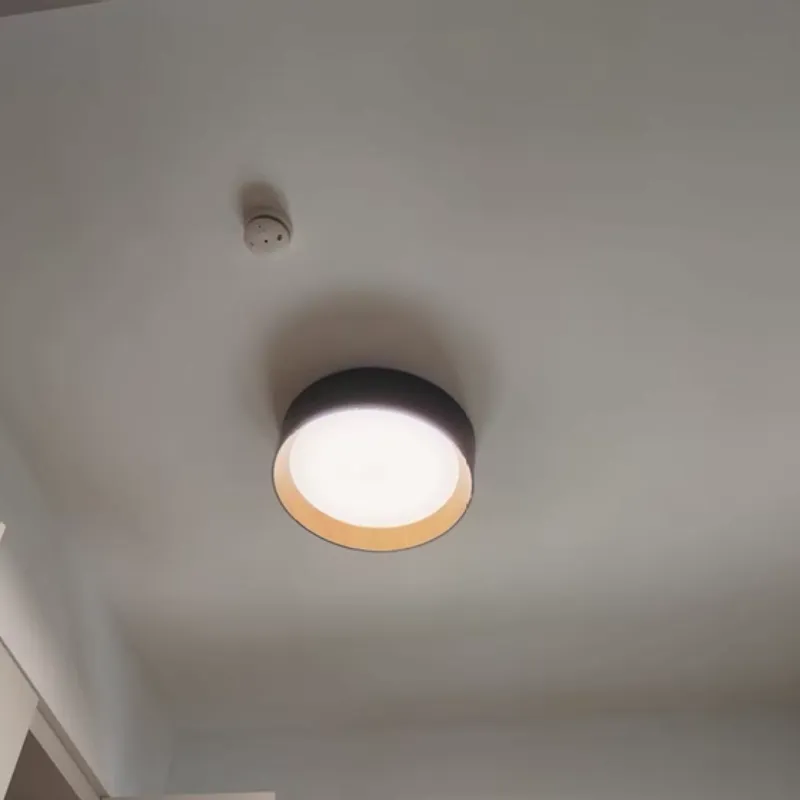 DotraTone Ceiling Light