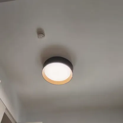 DotraTone Ceiling Light