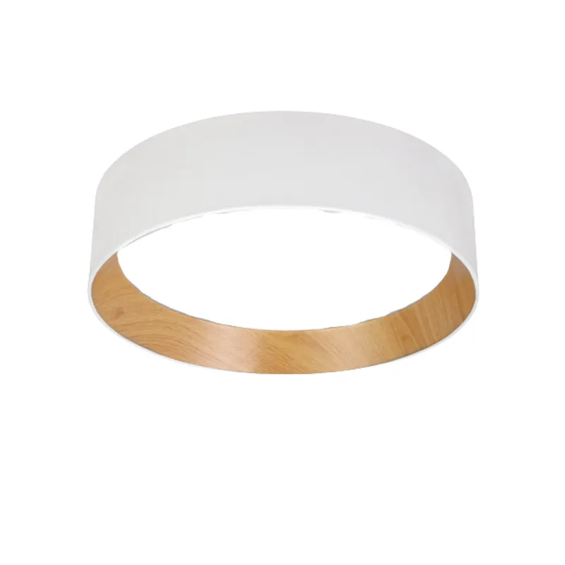 DotraTone Ceiling Light