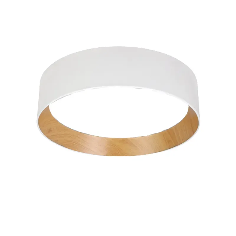 DotraTone Ceiling Light