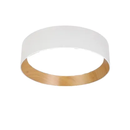 DotraTone Ceiling Light