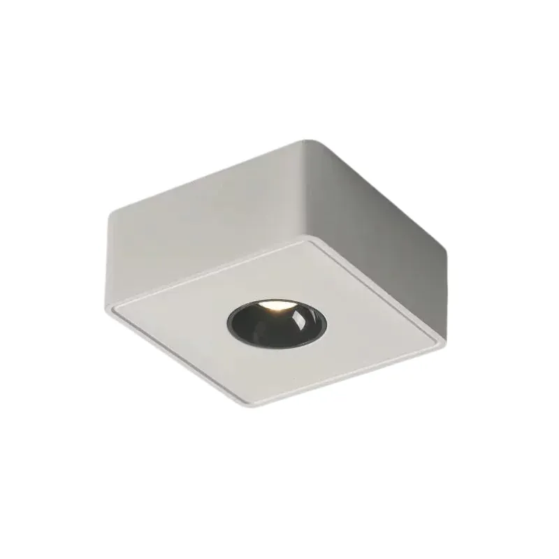 DRAUPNIR Surface Downlight