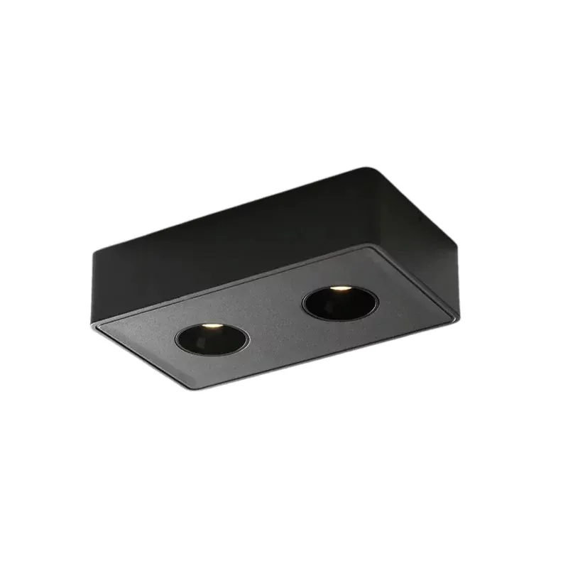 DRAUPNIR Surface Downlight