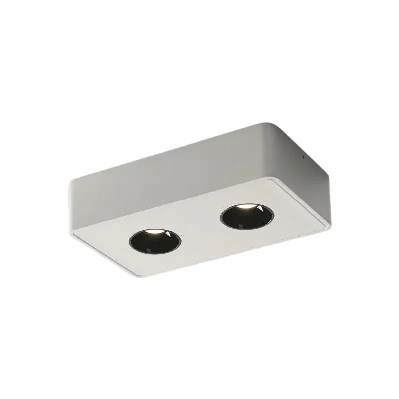 DRAUPNIR Surface Downlight